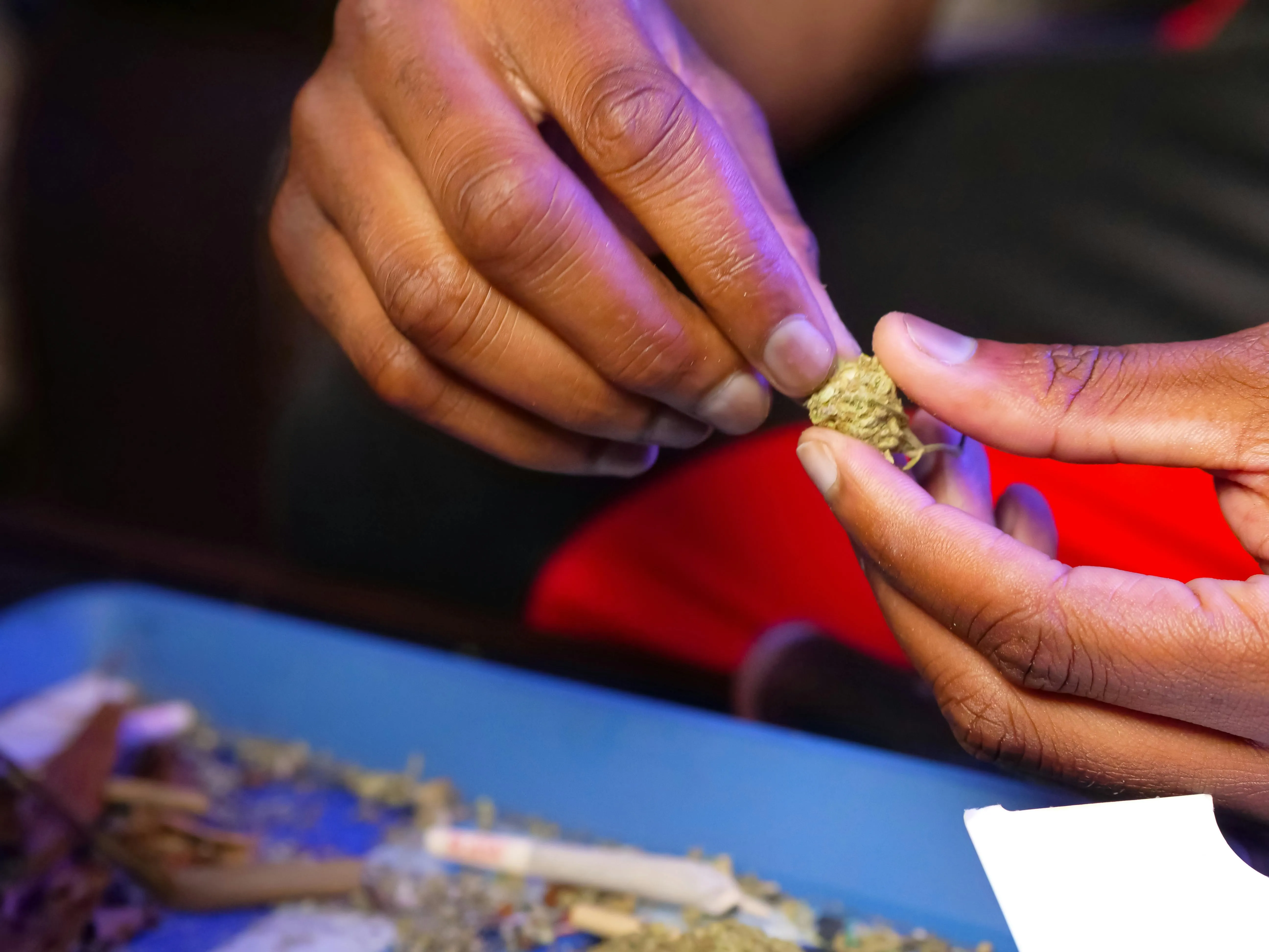 Toronto Dispensaries