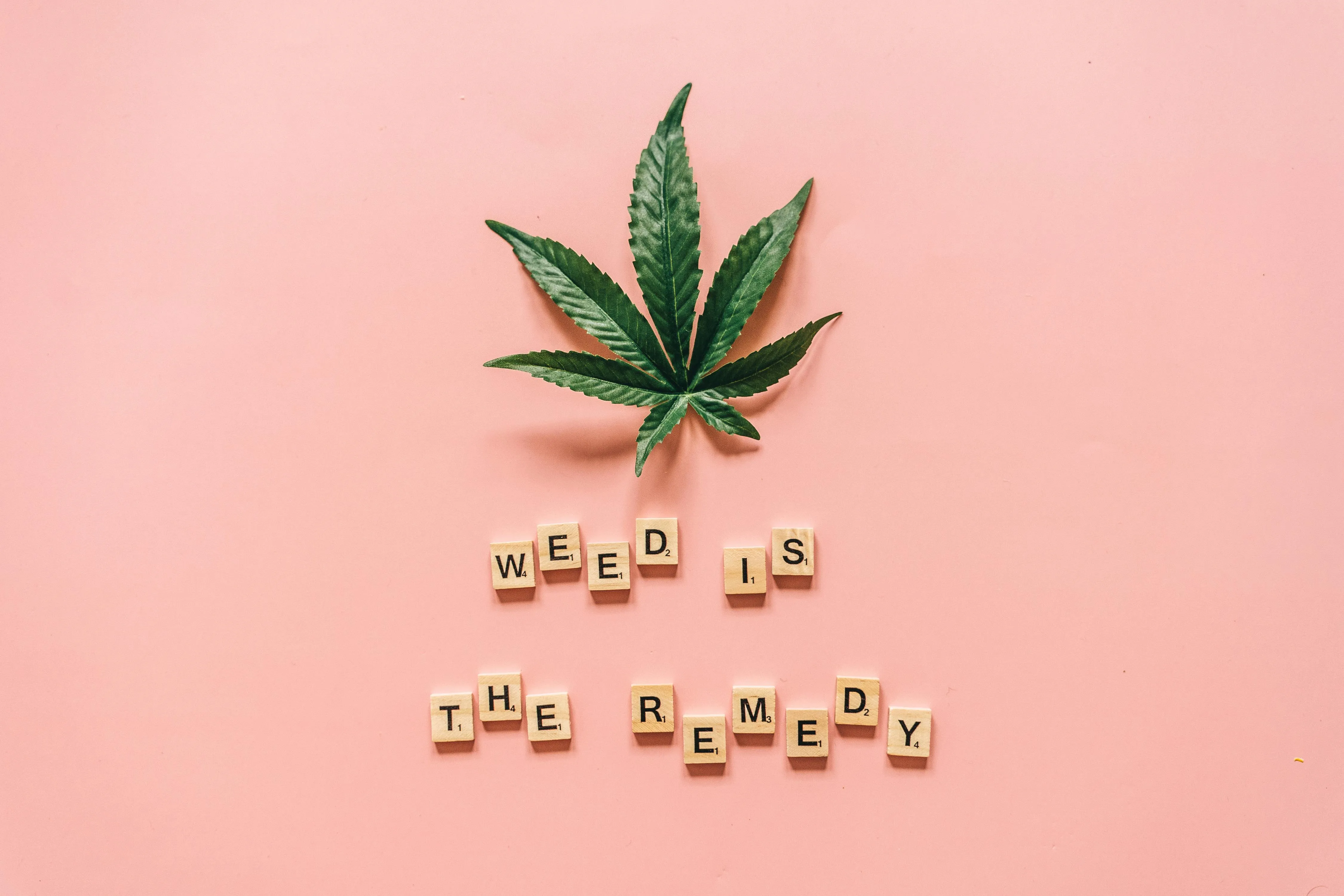 herbs