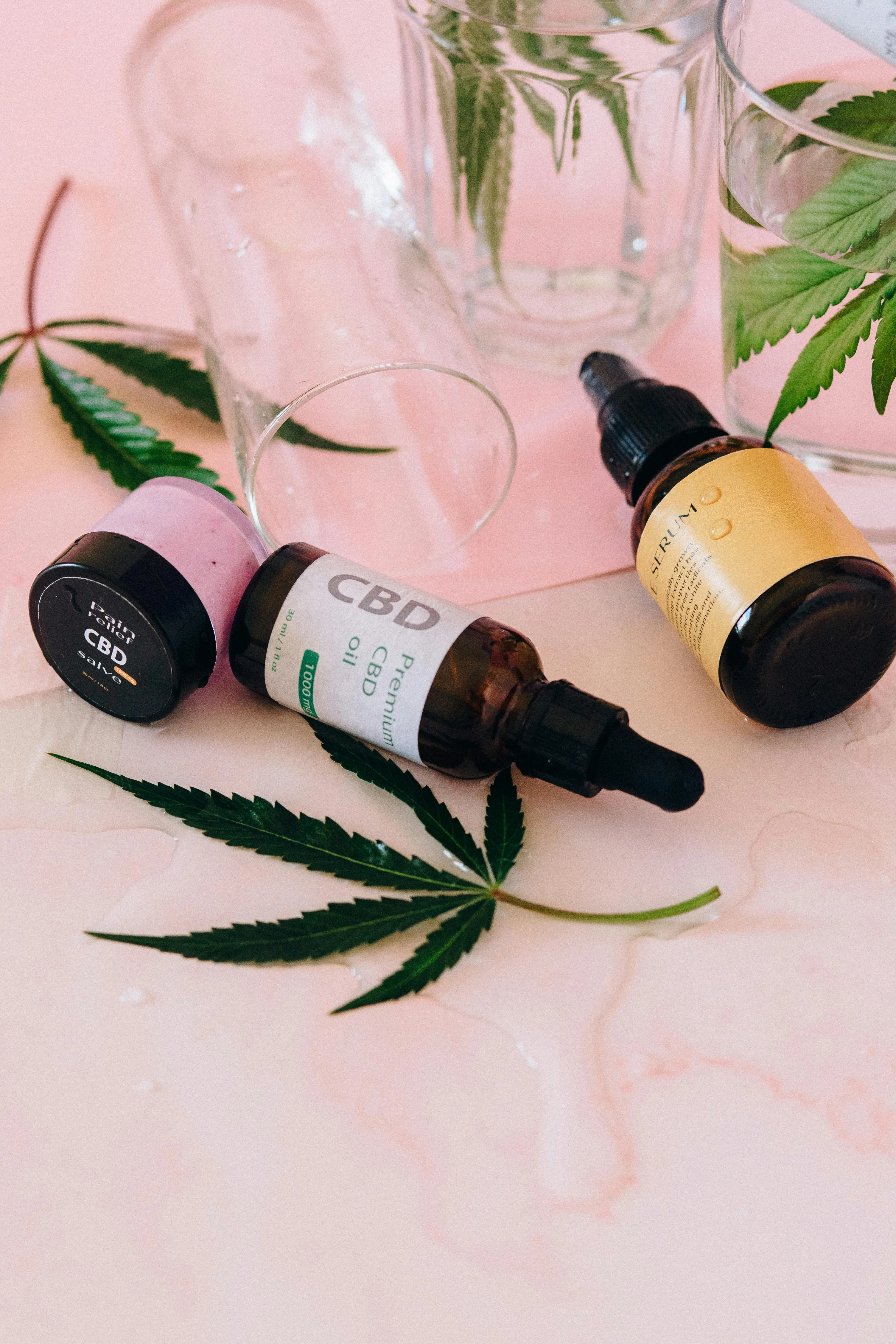 medicinal plants