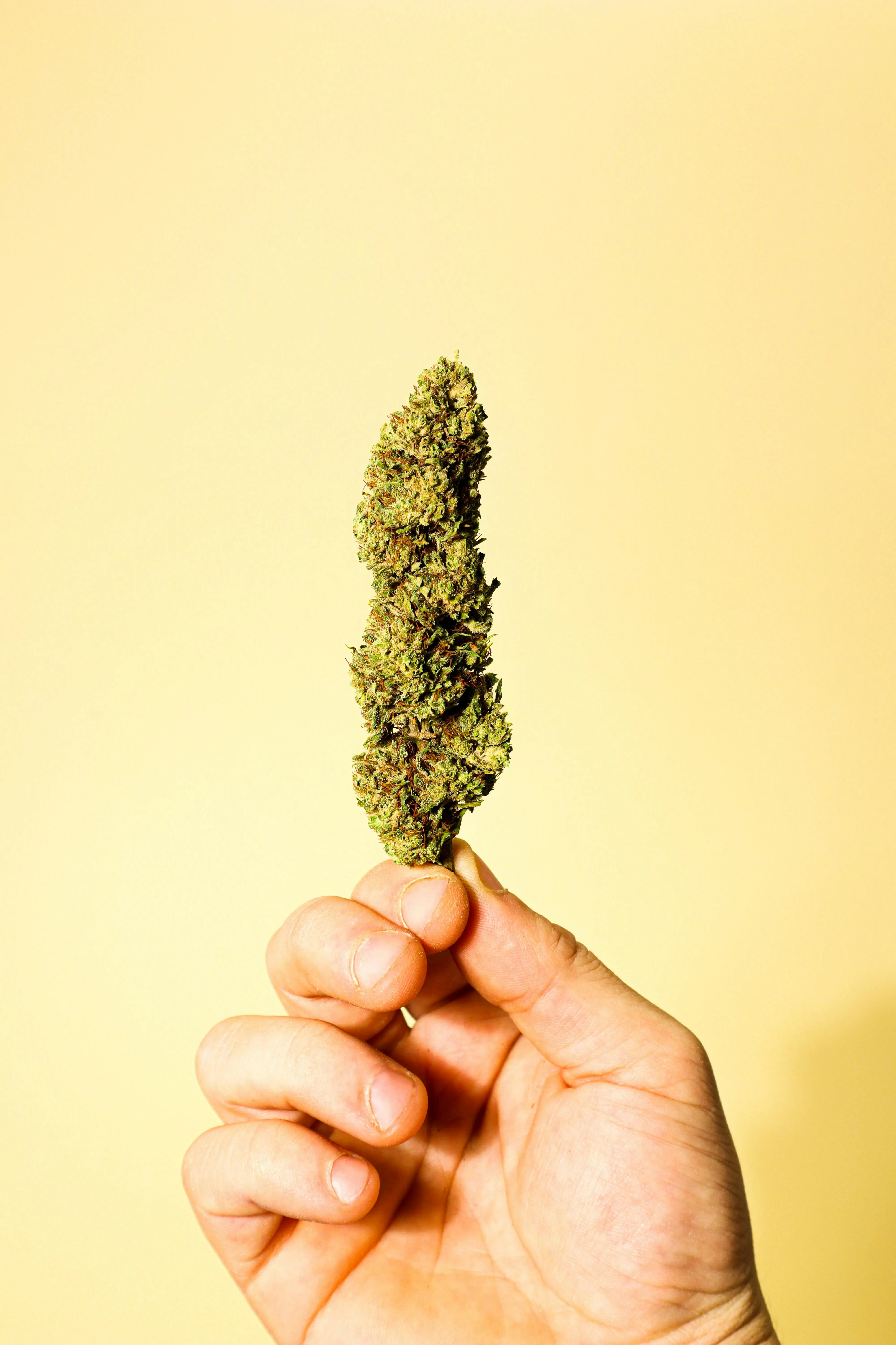 weed control