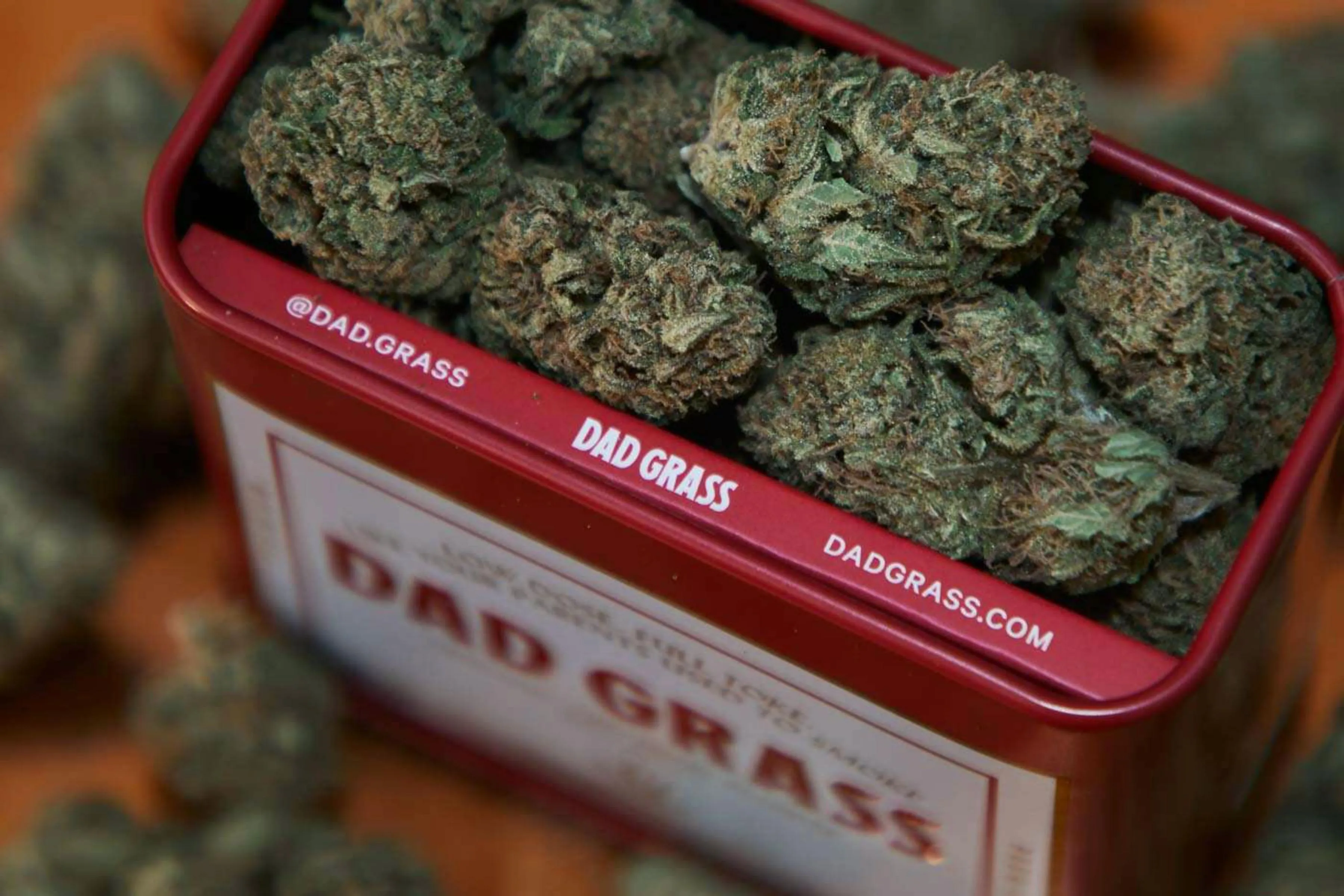 horny goat weed