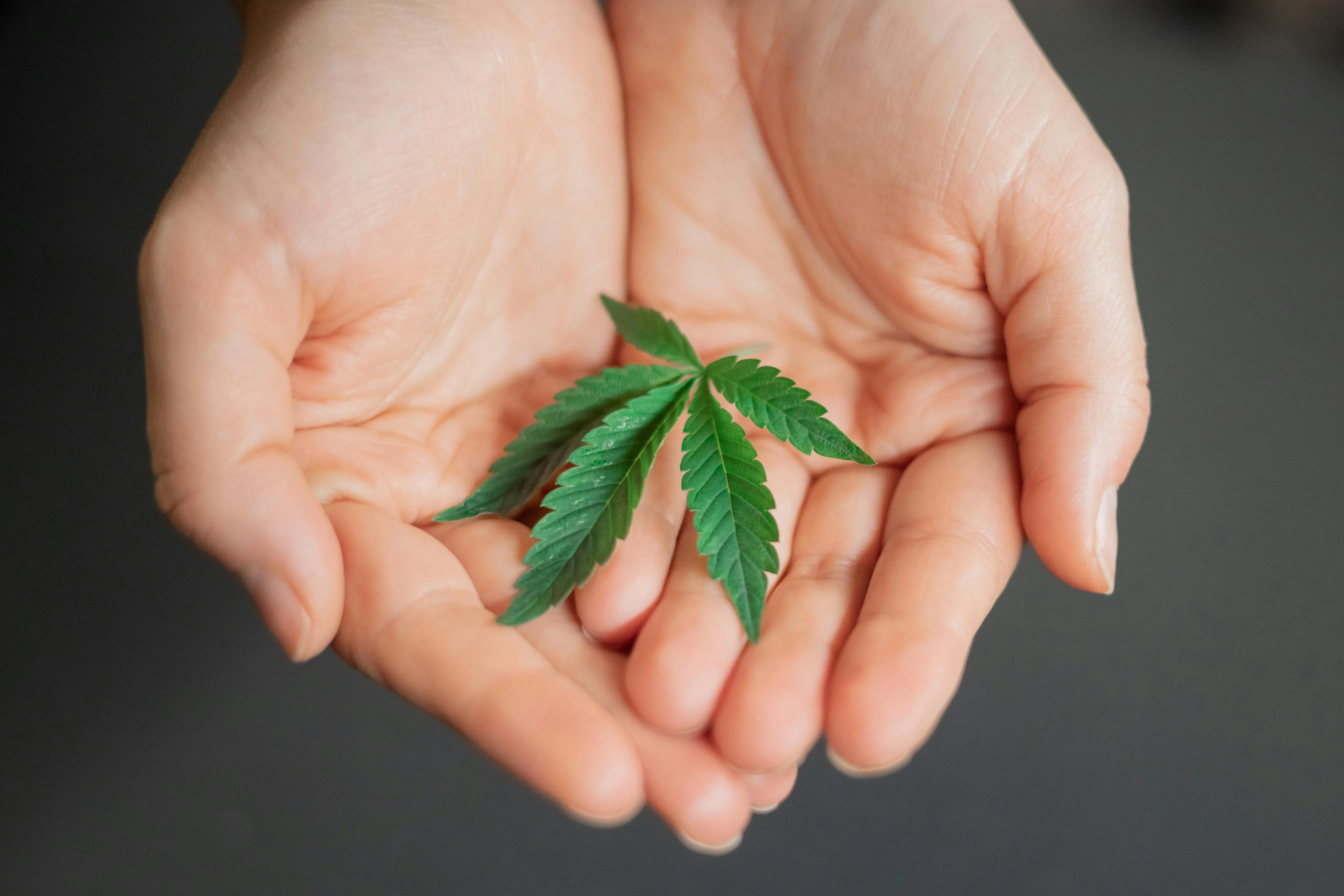 alternative medicine
