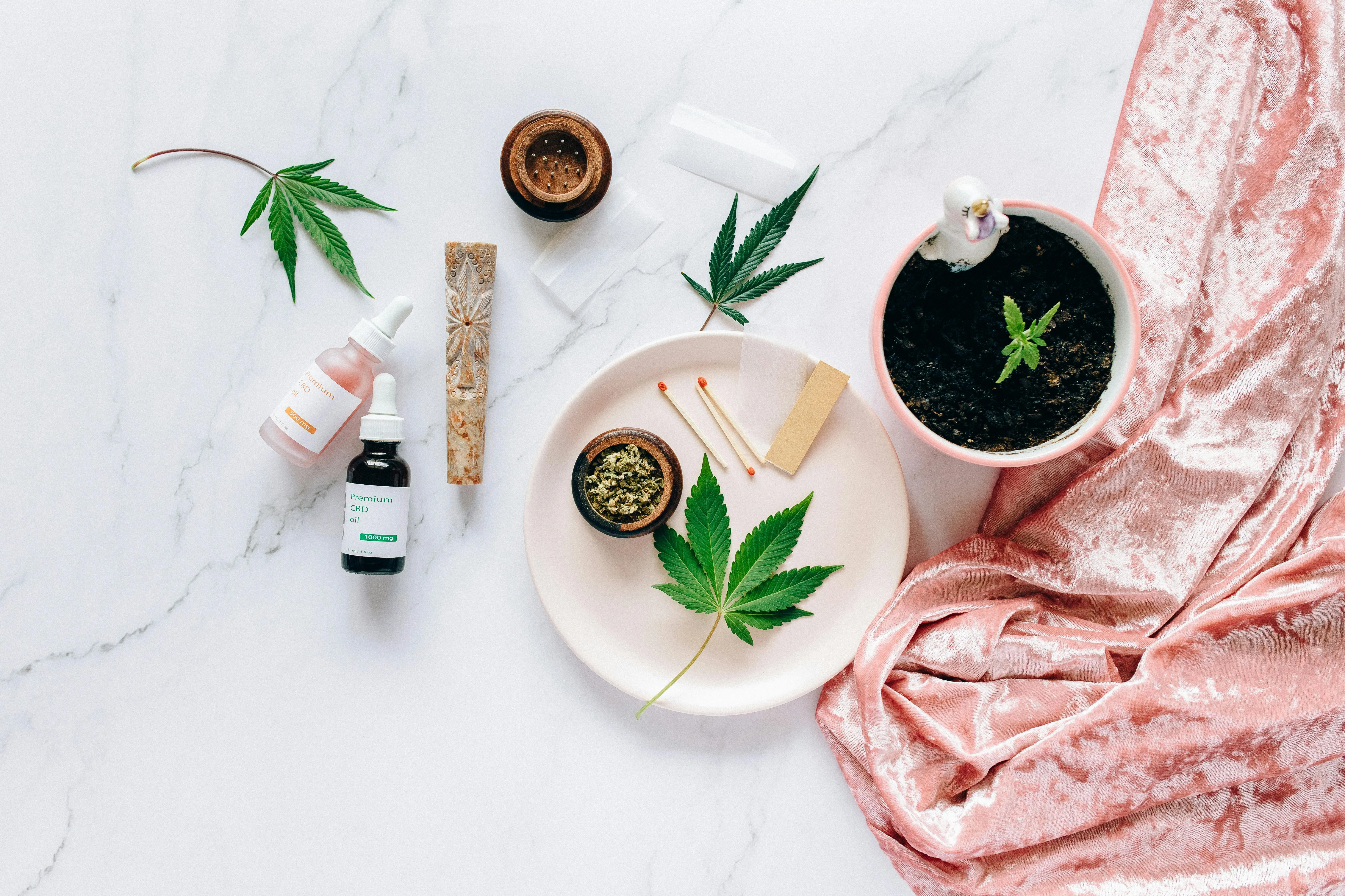 cannabis dispensaries